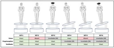 A modified two-dimensional sensory organization test that assesses both anteroposterior and mediolateral postural control